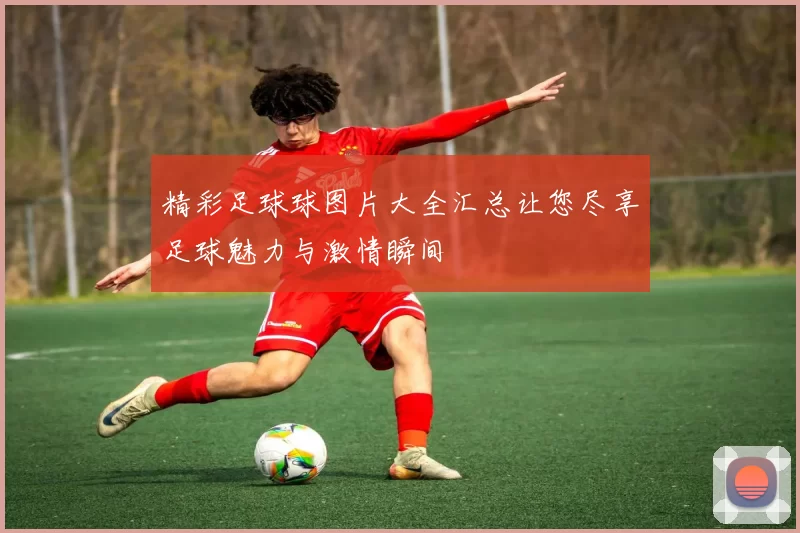 精彩足球球图片大全汇总让您尽享足球魅力与激情瞬间