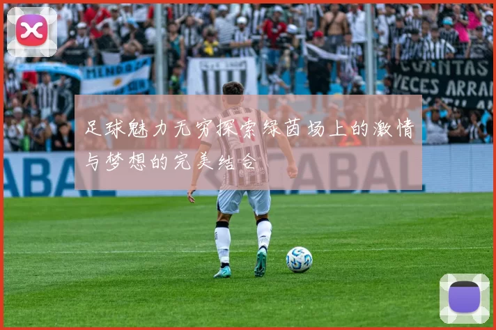 足球魅力无穷探索绿茵场上的激情与梦想的完美结合