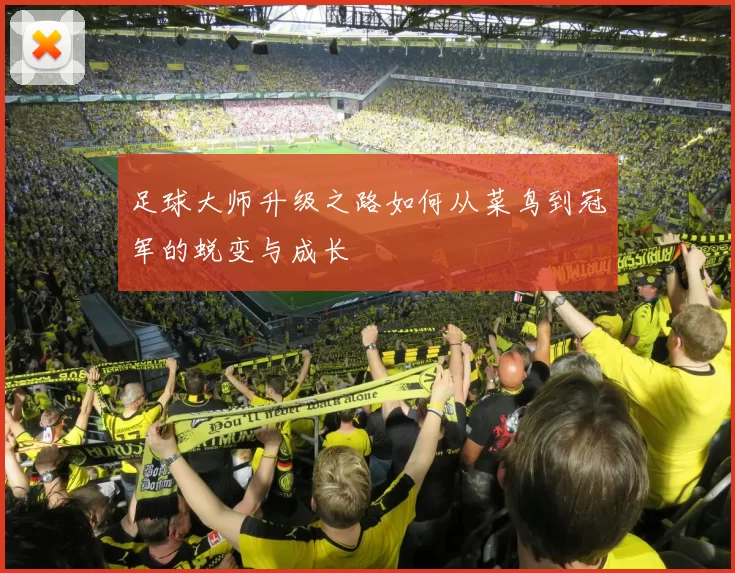 足球大师升级之路如何从菜鸟到冠军的蜕变与成长