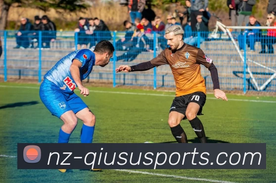 球速体育服务体系